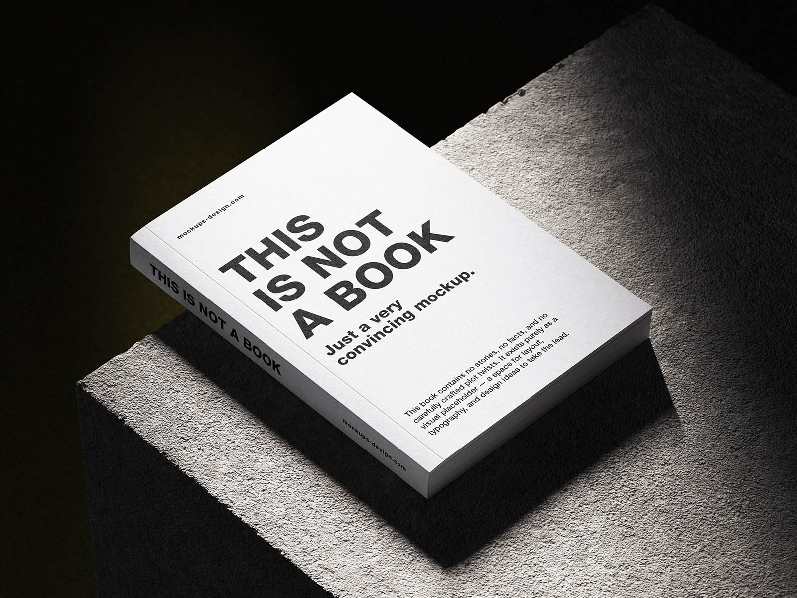 Printed product insert mockup